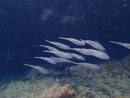 P9291644