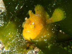 P6282862
