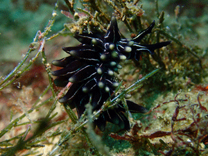 P3280307