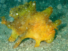 P5200378