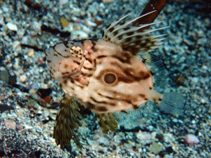 P4240521