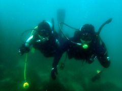 P6043502