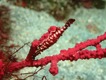 P3185537