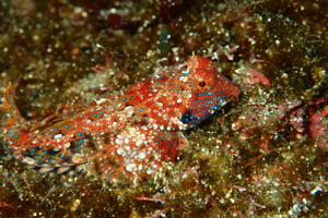 P4117022