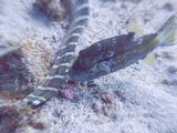 P1050622