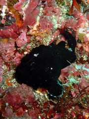 P5200406