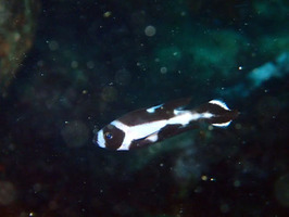 P9291574