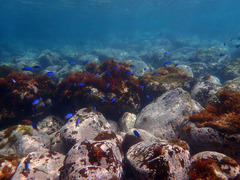 P7043683