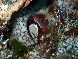 P4230271