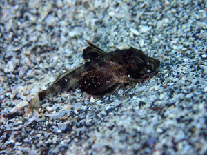 P3265638