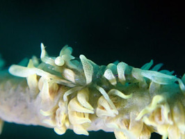 P9291623