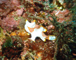 P1050640