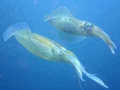 P4250820
