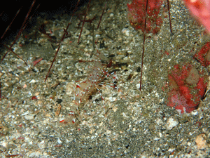 P4240483