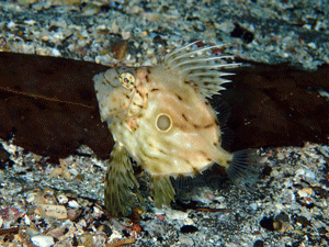P4240427