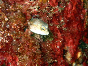 P4116012
