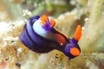 P1080050