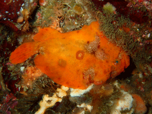 P4240479