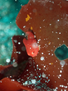 P4095971