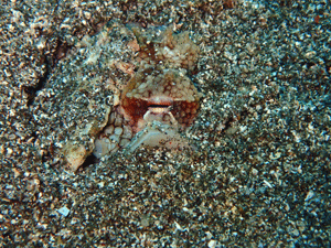 P4100151