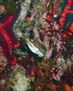 P3205618