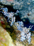 P1050581