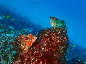 P3185540