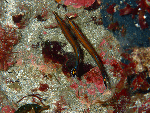 P3200488