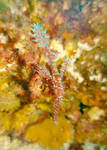 P1050601