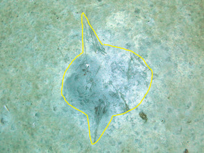 IMG_7586 のコピー