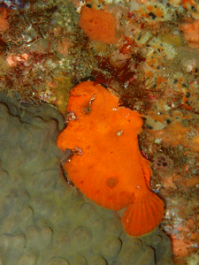 P4240470