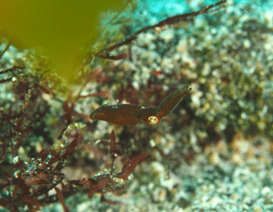 P3260597