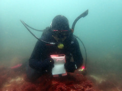 P6043534