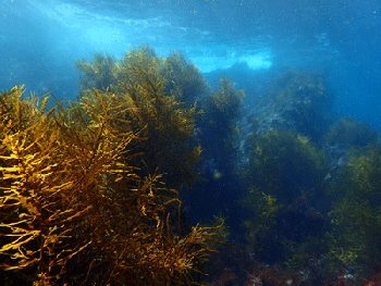 P3185580