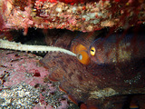 P3020304