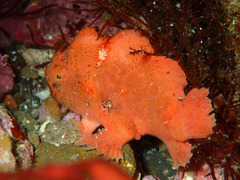 P4250859