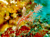 P1050600
