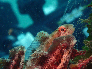 P3280335