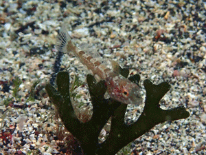 P3280350