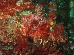 P6043539