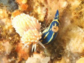 17634663_664624360396041_335658149723997712_n