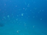 IMG_0512