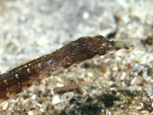 P7071640