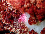 P3020318