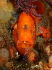 P4250855