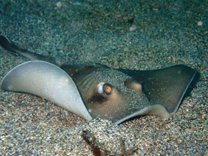 P4240346