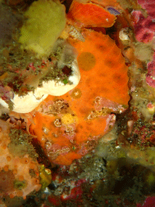 P4240476
