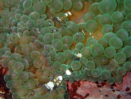 P9291584