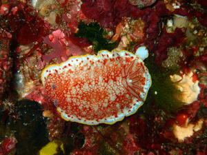 P3205613