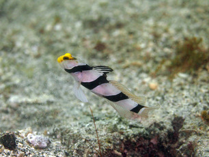 P7071632